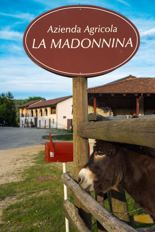 La Madonnina Agriturismo Dore Alba  Exterior foto